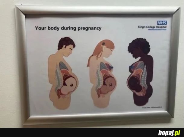 Niesamowite, jak się zmieniła biologia w ostatnich latach, tylko my tu w zaściankowej Polsce nie nadążamy!