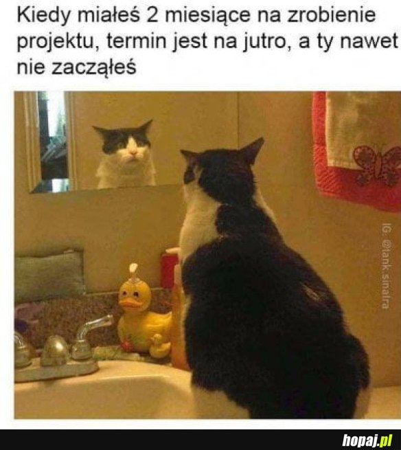 I CO JA TERAZ POCZNĘ