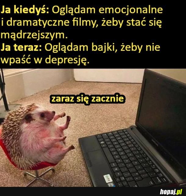 Jeżyk