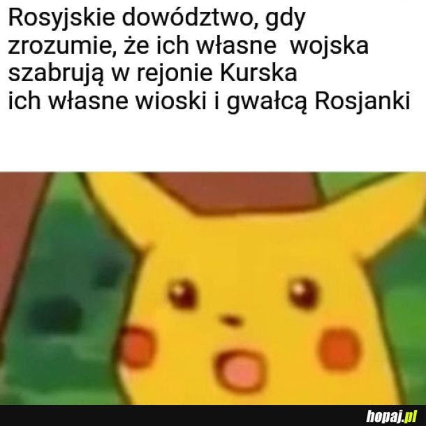 Jak to w ogóle możliwe? Armia której stosujesz politykę terroru nie ogranicza się do wroga?