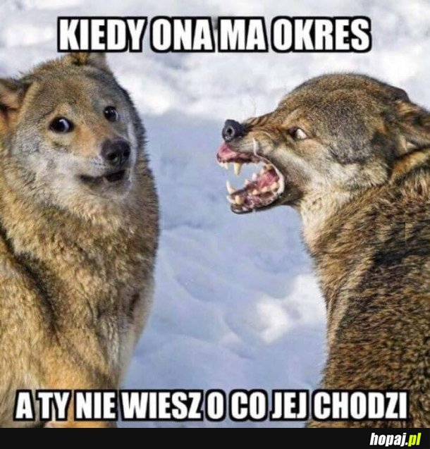 KIEDY NIE WIESZ O CO JEJ CHODZI