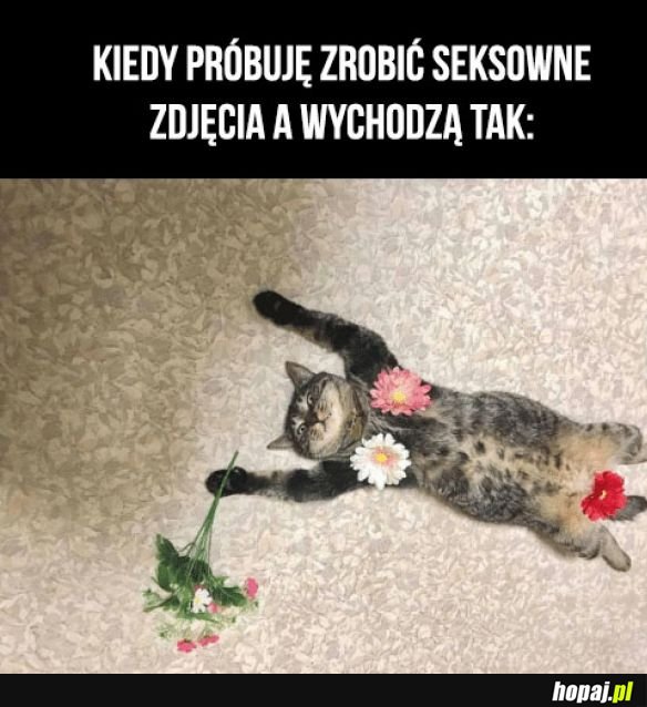 Tak to wygląda