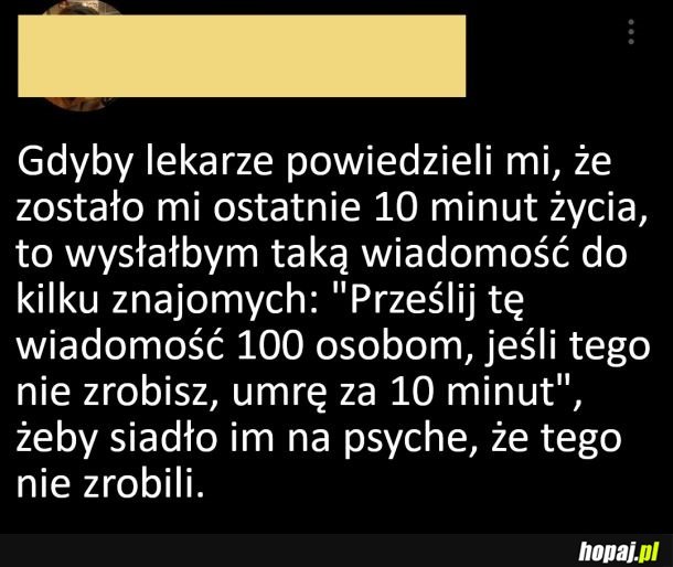 Ostatnie 10 min życia