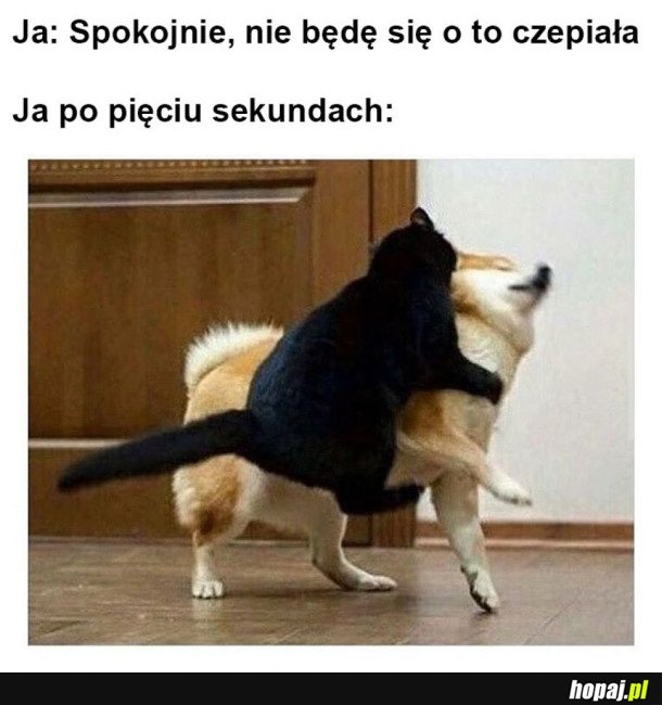 W OGÓLE SIĘ NIE CZEPIAM