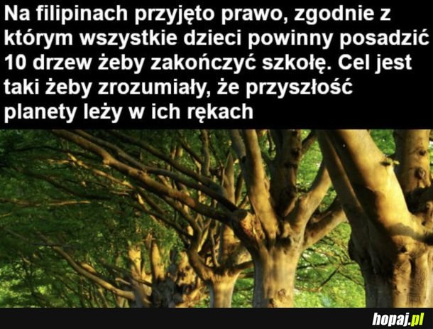 Jednak da się normalnie walczyć o planetę