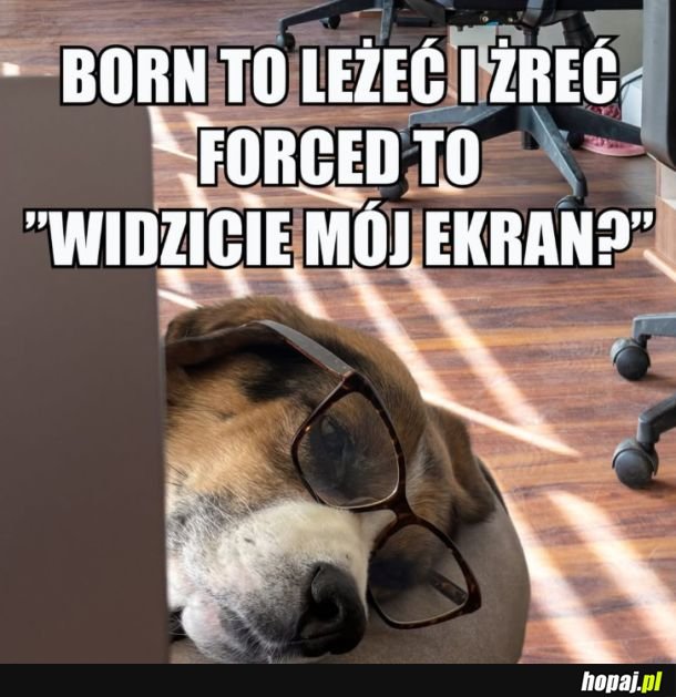 Dlaczego tak jest