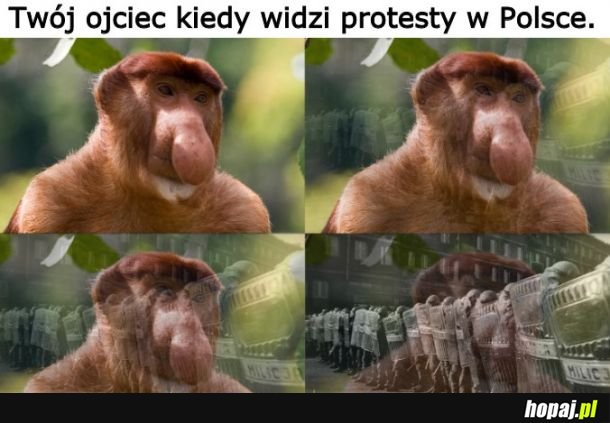 &quot;Synek kiedyś to byo, kaszanki z patelni się zjadło, zapiło dwoma kielonami wódy i szło się pałować studentów&quot;