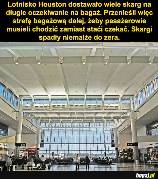 Skargi na bagaż