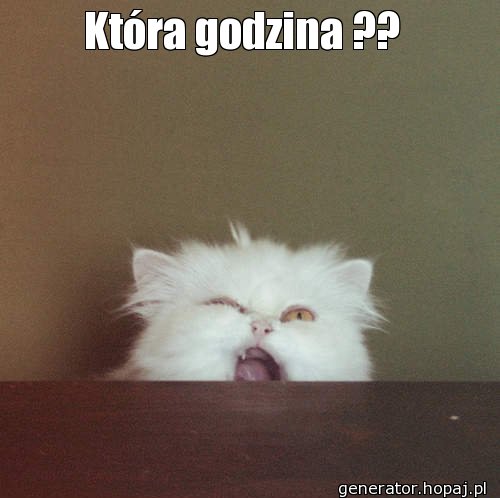 Która godzina ?? 