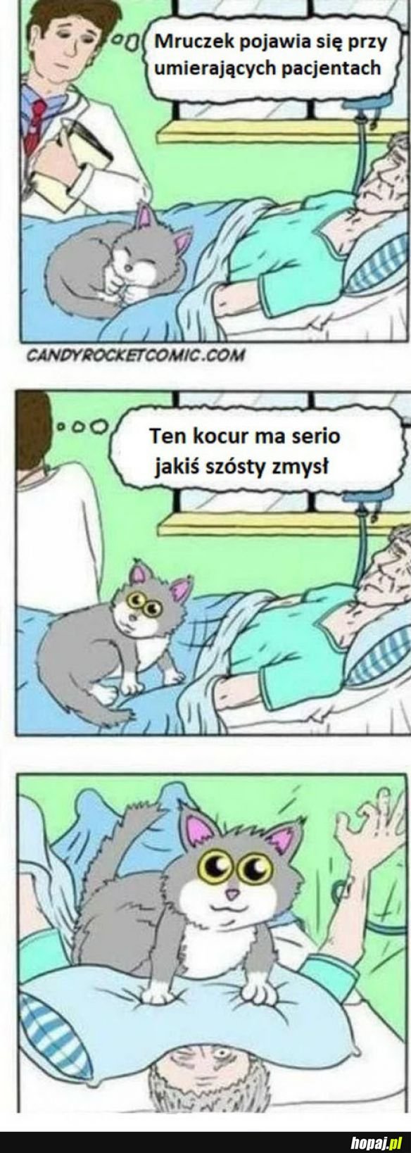 Mruczek