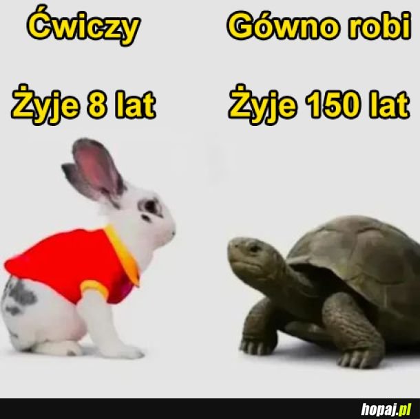 Przypadek? nie sądzę
