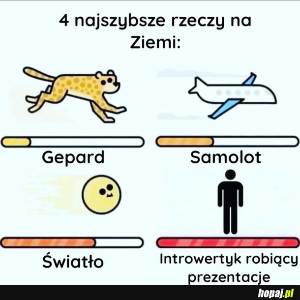Cztery najszybsze rzeczy na ziemi