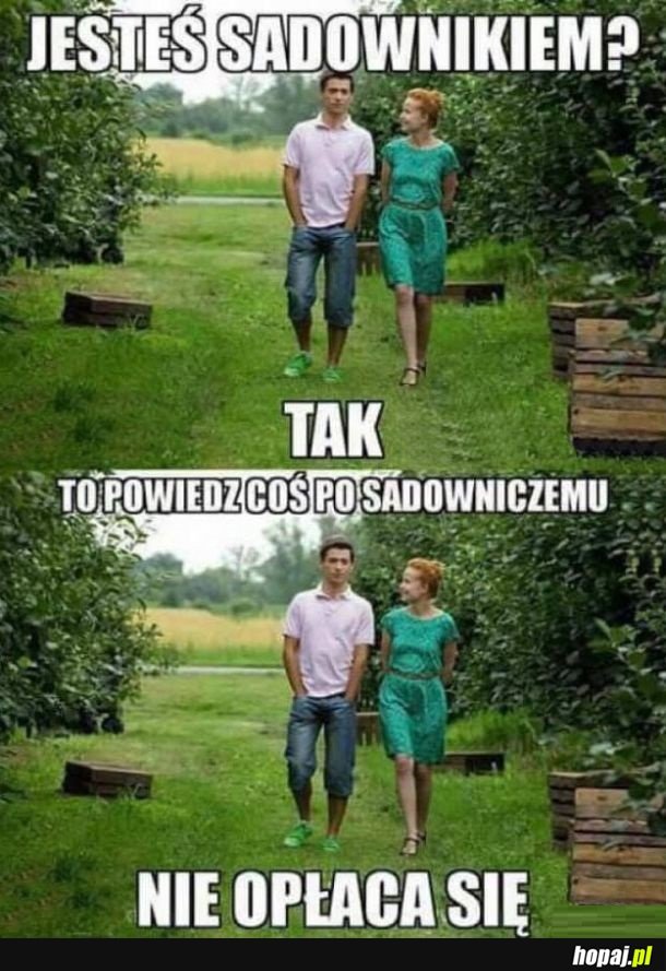 Bo z sadownikami to jest tak