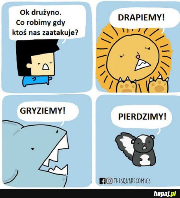 DRUŻYNA