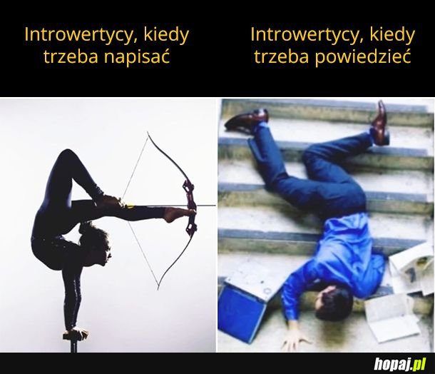 Introwertycy