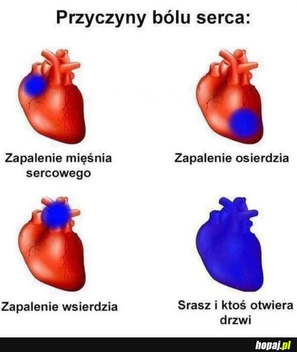 Szkoła