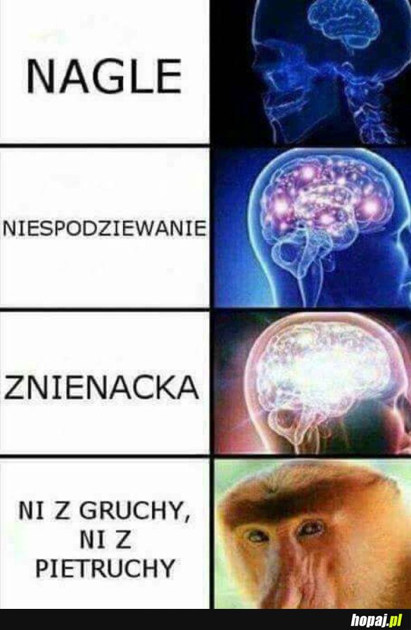 JAK FILIP Z KAPUSTY 