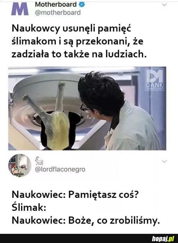 Naukowcy