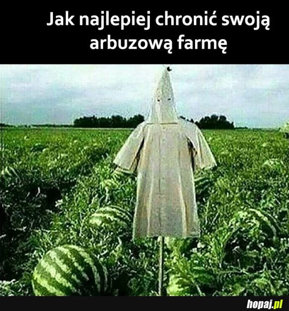Heheszki