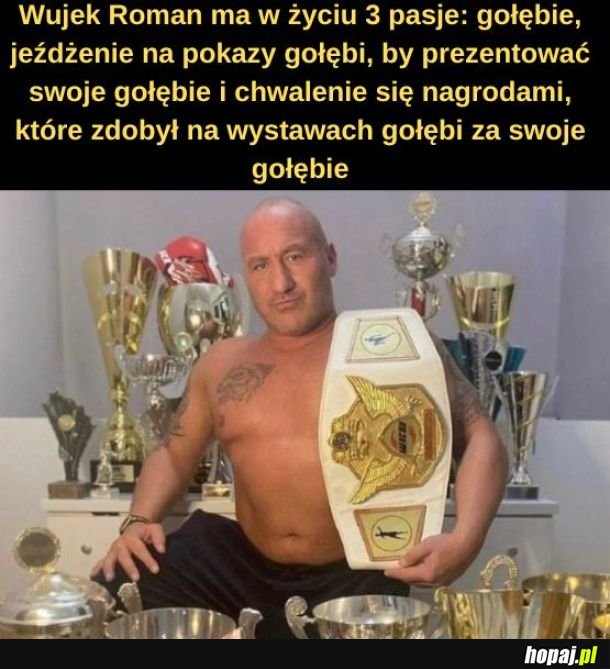 Gołębiarz.