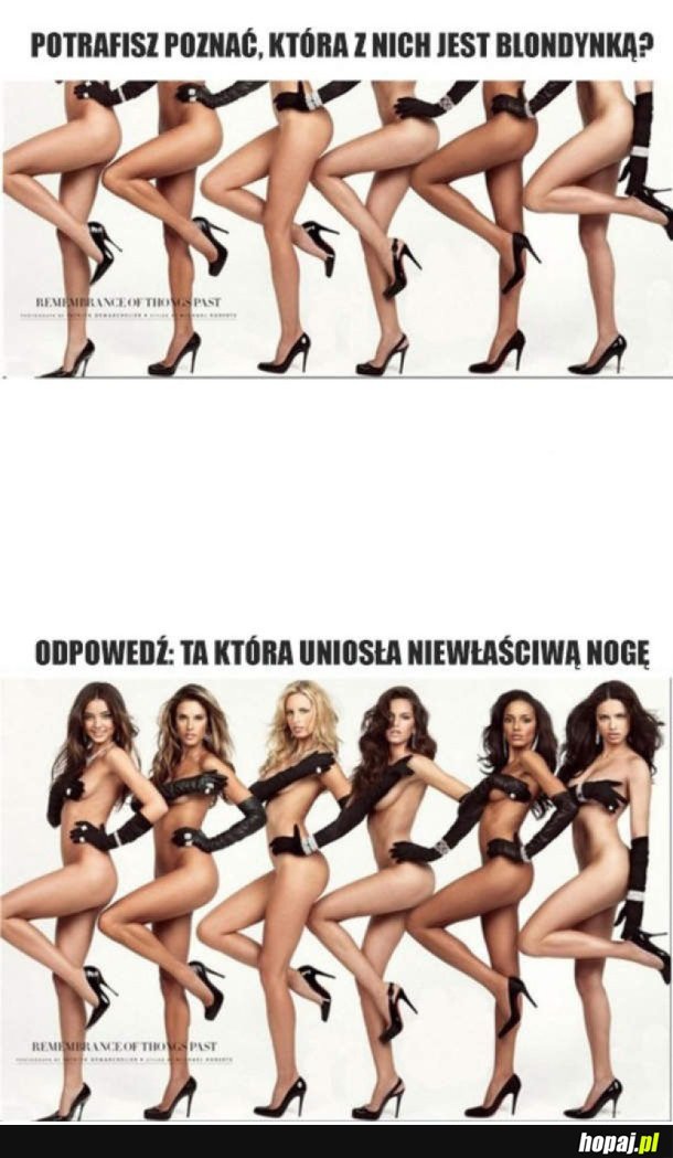 KTÓRA Z NICH JEST BLONDYNKĄ