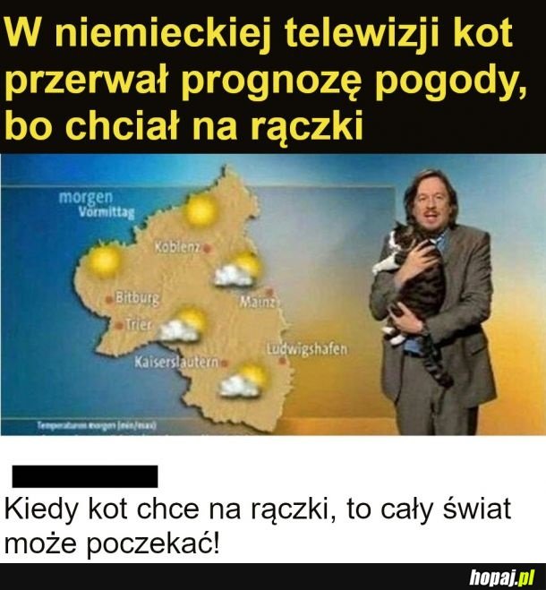 Najpierw kitku, później reszta świata!