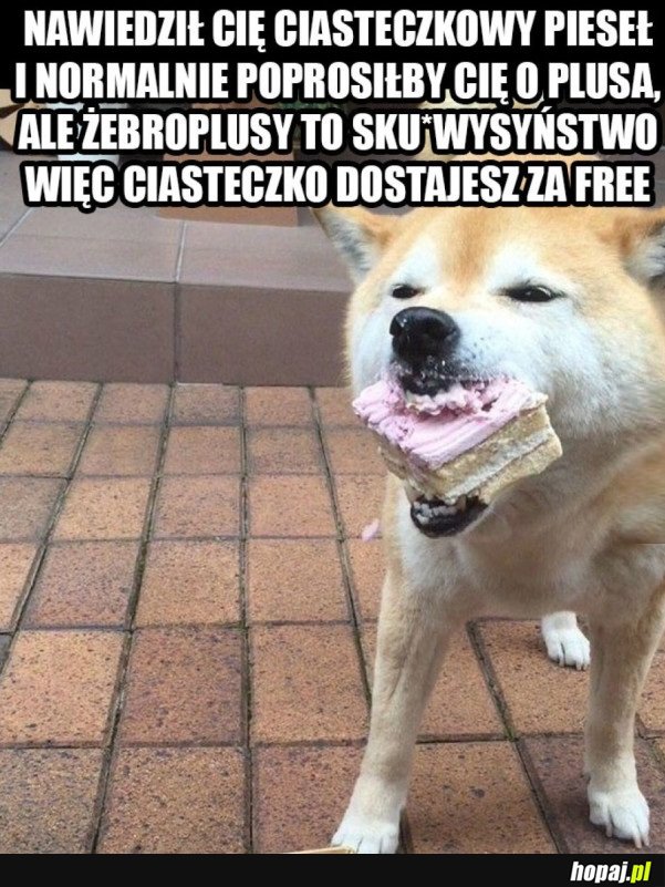 UCZCIWY PIESEŁ