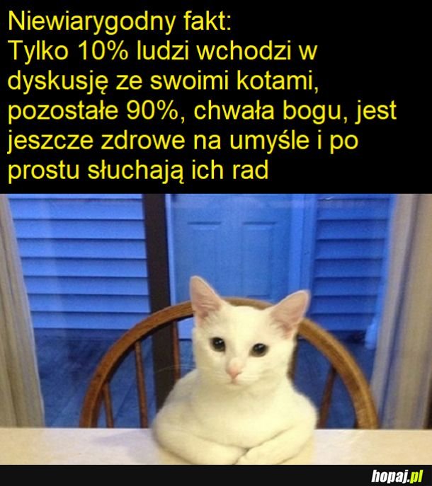 Niesamowite, prawda?