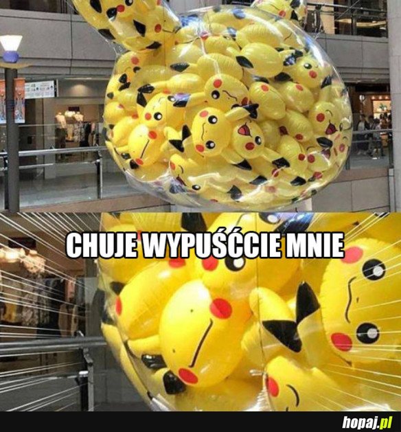 WYPUŚĆ POKEMONA