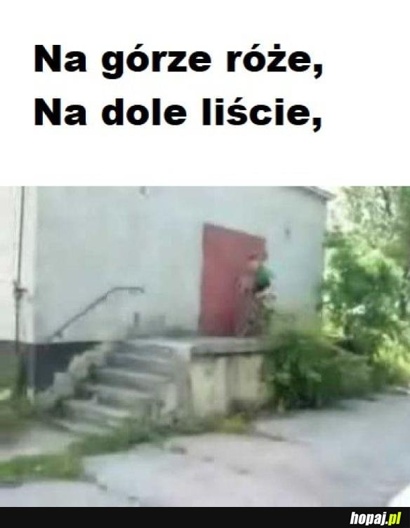 To się kameruje!