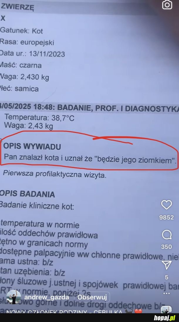 Dobry ziomek znalazł kotka i zaadoptował