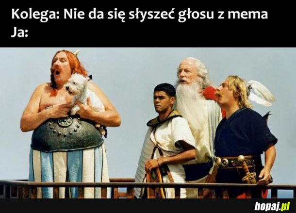  Głos mema 