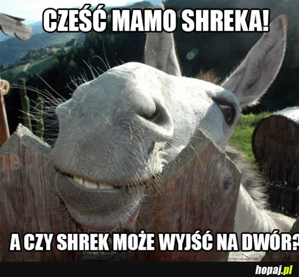 Shrek