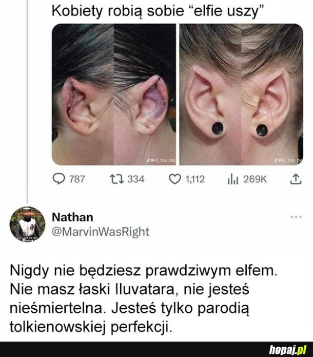 Elfie uszy