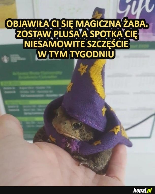 Ja tam dałem na wszelki wypadek xd