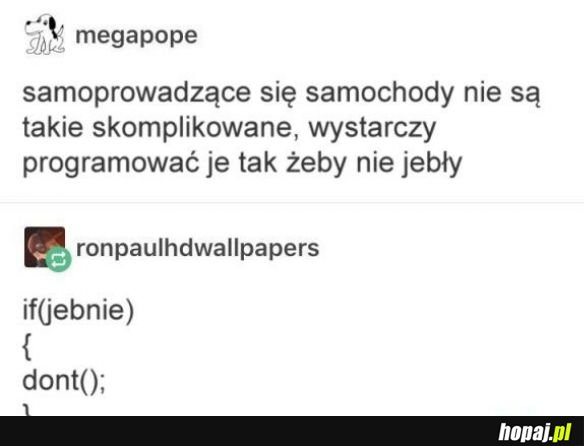 Samoprowadzenie