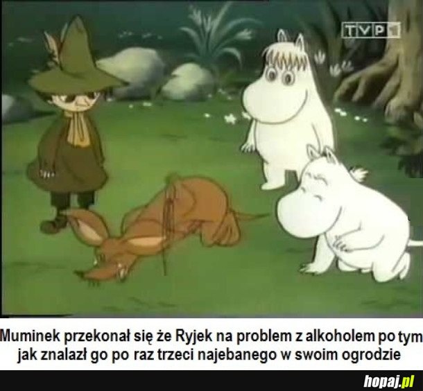 RYJEK NIGDY NIE WYLEWAŁ ZA KOŁNIERZ...