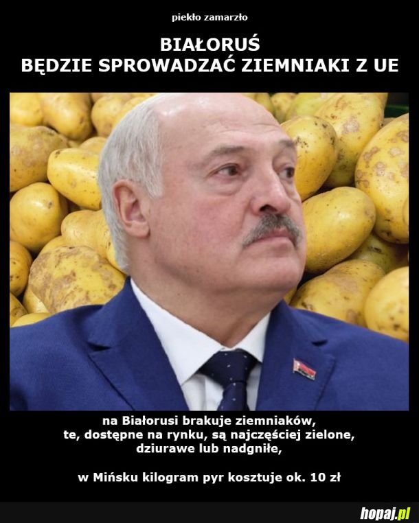 Będzie kartoflana rewolucja? 