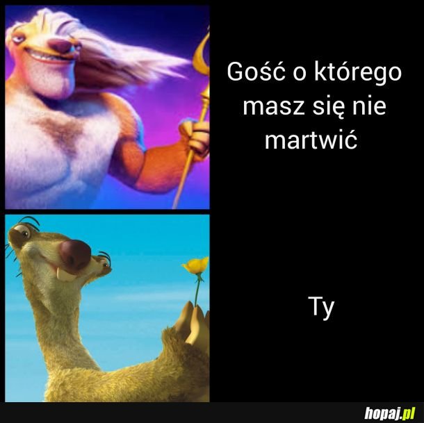 To tylko kolega jest