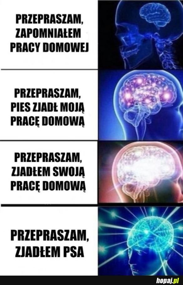 Jak wytłumaczyć nauczycielowi brak pracy domowej