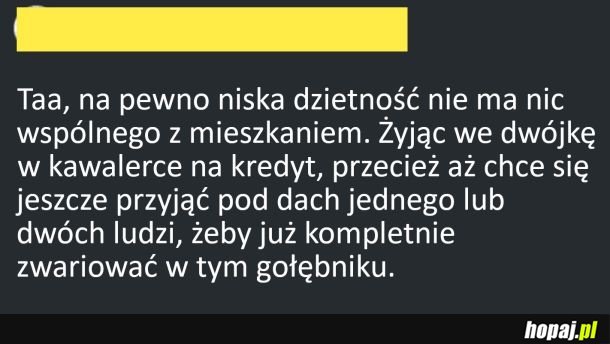 Niska dzietność