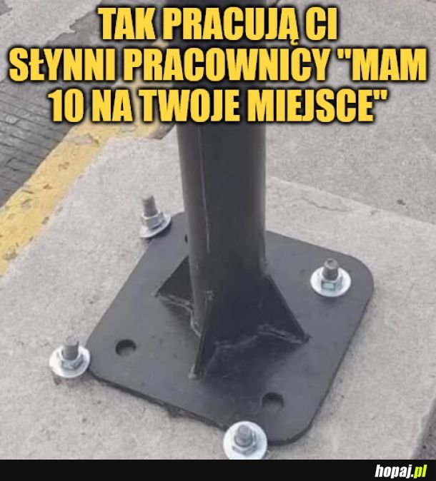 Pracownicy. 