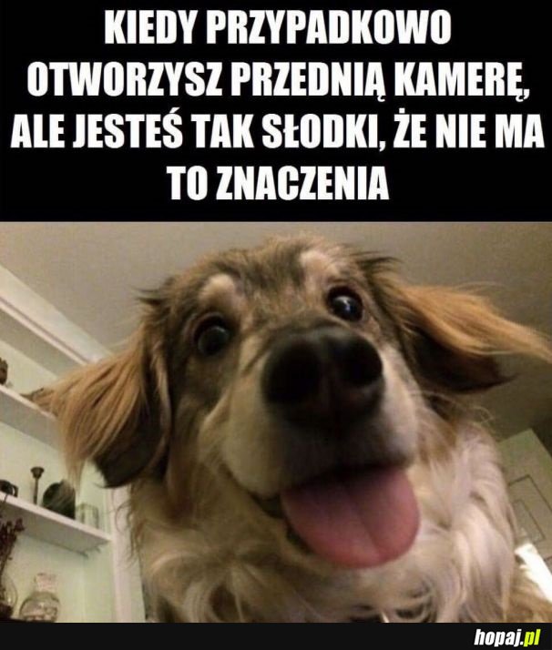 Wrodzona słodkość