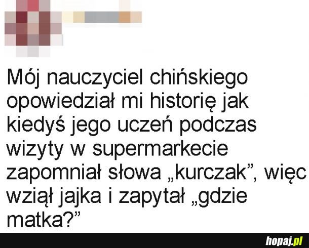 Poradził sobie