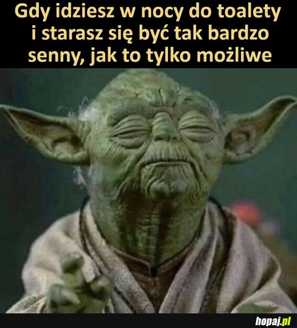 Kiedy musisz w nocy do kibelka