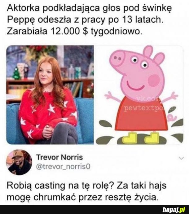 Hajs za chrumkanie