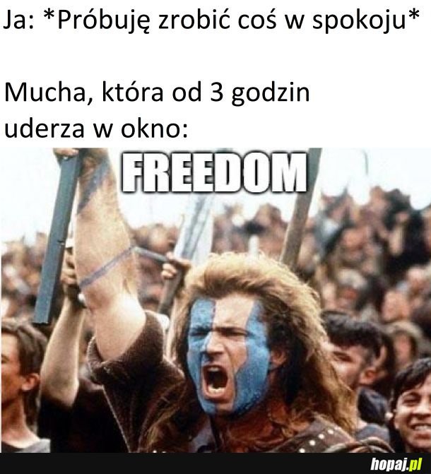 Ku wolności!