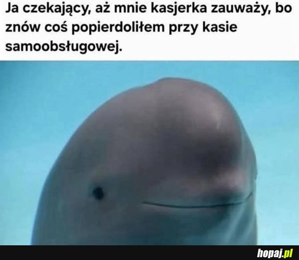 Samoobsługa