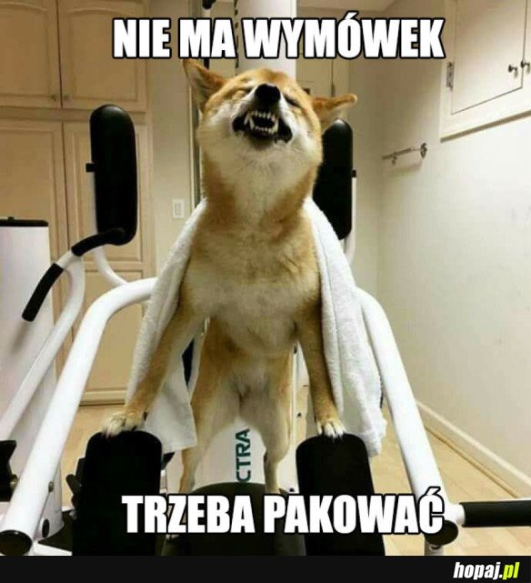 NIE MA WYMÓWEK