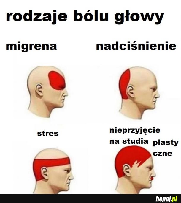 Ból i upokorzenie